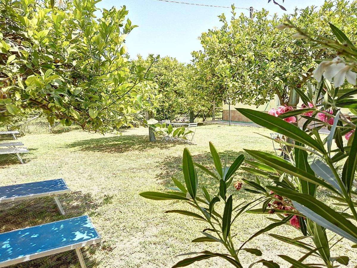 Villa Primofiore Di Vendicari La Banca Kültér fotó